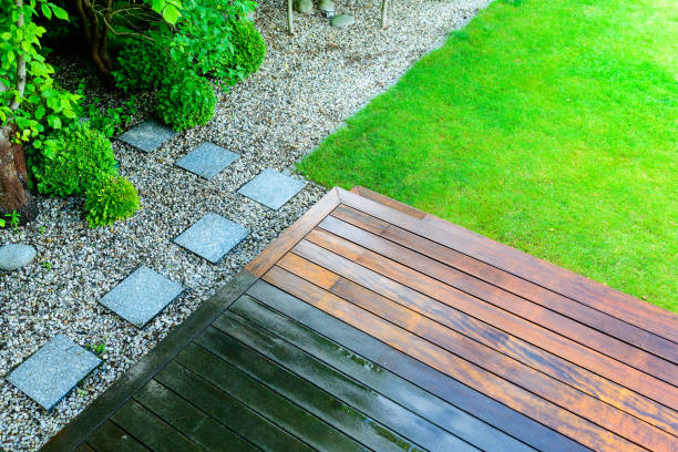 Best Sidewalk and Walkway Cleaning  in Appleton, MN